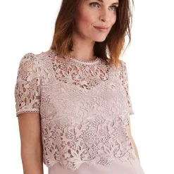Phase Eight Isabella Lace Dress -Outlet Seraph Dress Store Phase Eight Isabella Lace Dress10G372FRSP W02
