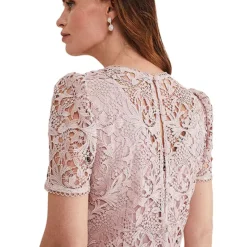 Phase Eight Isabella Lace Dress -Outlet Seraph Dress Store Phase Eight Isabella Lace Dress10G372FRSP W03