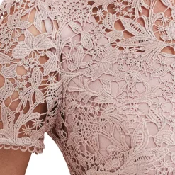 Phase Eight Isabella Lace Dress -Outlet Seraph Dress Store Phase Eight Isabella Lace Dress10G372FRSP W04